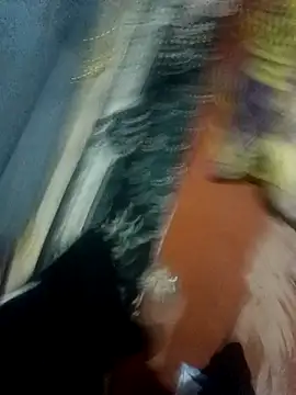 Snapshot of bobo76s chatting on April 1, 2026, 5:53 am bobo76s online show from April 1, 2026, 5:53 am