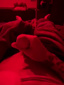 Dstat715 online show from April 19, 2026, 6:03 am