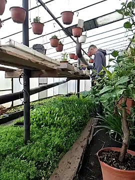 Frosting1957 online show from April 12, 2026, 7:33 am