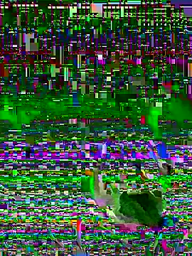 Snapshot of jayc23 chatting on May 23, 2026, 10:09 pm jayc23 online show from May 23, 2026, 10:09 pm