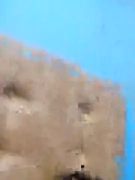 rochylinda online show from April 24, 2026, 3:30 am