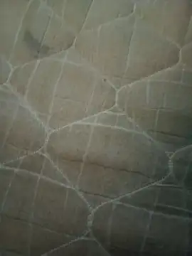 66luis3 online show from April 20, 2026, 4:52 pm