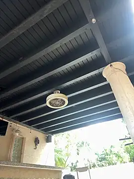 youngwildfreee online show from April 9, 2026, 8:26 pm