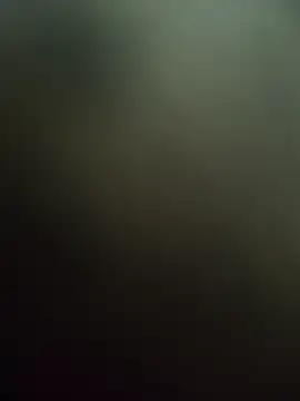 saur1221wjz online show from April 17, 2026, 2:09 pm