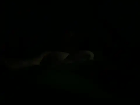 Snapshot of hunglikemeee chatting on April 16, 2026, 1:17 am hunglikemeee online show from April 16, 2026, 1:17 am