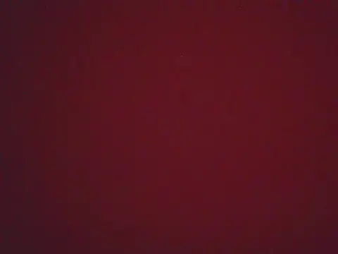 FernandaMartynelyh online show from April 22, 2026, 4:36 pm