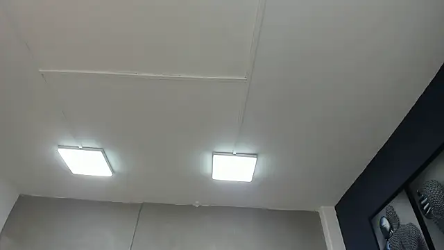 Charlie   Musk online show from June 19, 2026, 11:27 am