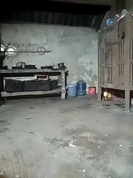 Snapshot of phuongtrinh1 chatting on June 21, 2026, 1:39 pm phuongtrinh1 online show from June 21, 2026, 1:39 pm