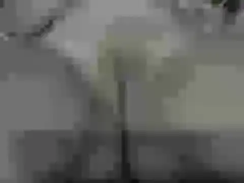 mamilaye online show from April 24, 2026, 6:32 pm