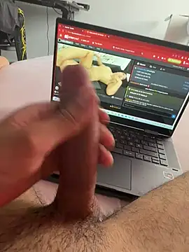 Wolf 18cm online show from July 5, 2026, 8:54 am