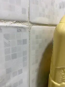 Big-dick-cum01 online show from May 15, 2026, 5:00 pm