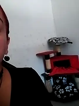Snapshot of Tumilf chatting on June 11, 2026, 4:48 pm Tumilf online show from June 11, 2026, 4:48 pm