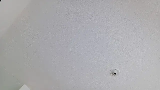 Snapshot of cata_cat chatting on June 9, 2026, 1:23 pm cata cat online show from June 9, 2026, 1:23 pm