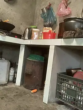 Bebe-beo online show from June 22, 2026, 10:23 am