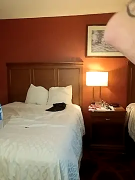 Wild dude online show from March 19, 2026, 3:06 am