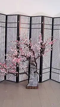 Snapshot of ouyanyan chatting on May 26, 2026, 12:14 pm ouyanyan online show from May 26, 2026, 12:14 pm