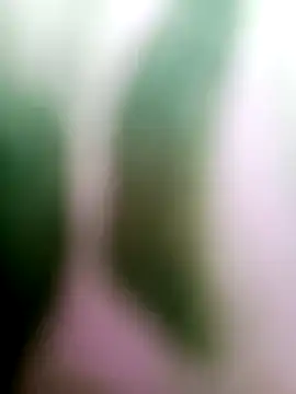 Cut means47 online show from July 5, 2026, 1:54 am