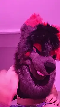 Snapshot of RadPawz_furry chatting on July 18, 2026, 10:18 pm RadPawz furry online show from July 18, 2026, 10:18 pm
