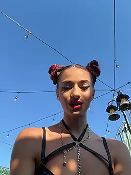 Snapshot of VixenRosse chatting on July 6, 2026, 5:25 am VixenRosse online show from July 6, 2026, 5:25 am
