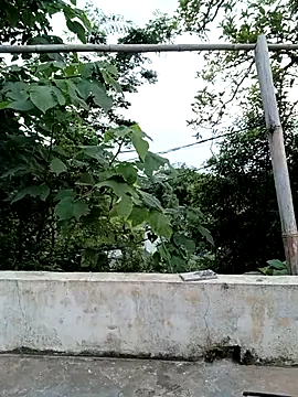 sena-cute online show from June 24, 2026, 11:57 pm