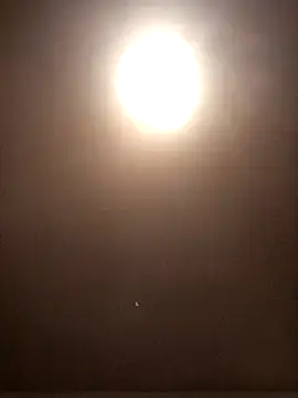 Snapshot of vox77 chatting on December 4, 2024, 6:33 pm vox77 online show from December 4, 2024, 6:33 pm