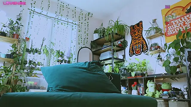 Dead Butterfly online show from April 4, 2026, 8:54 am