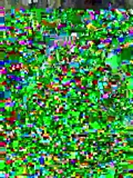 sissyvee online show from January 15, 2026, 5:00 am