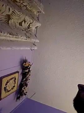 Snapshot of UncutHammer69 chatting on December 20, 2025, 7:44 am UncutHammer69 online show from December 20, 2025, 7:44 am