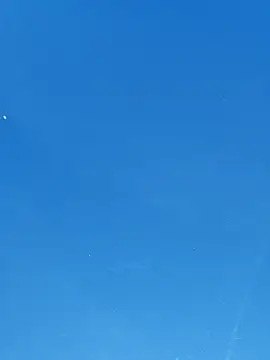 Snapshot of UncutHammer69 chatting on April 7, 2026, 4:20 pm UncutHammer69 online show from April 7, 2026, 4:20 pm