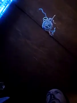 Snapshot of UncutHammer69 chatting on April 9, 2026, 3:07 pm UncutHammer69 online show from April 9, 2026, 3:07 pm