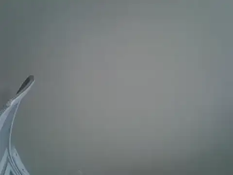 Snapshot of DitaVira chatting on March 18, 2025, 1:34 pm DitaVira online show from March 18, 2025, 1:34 pm