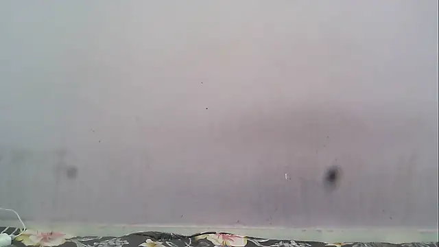 Snapshot of HotyRose chatting on January 17, 2026, 7:06 pm HotyRose online show from January 17, 2026, 7:06 pm