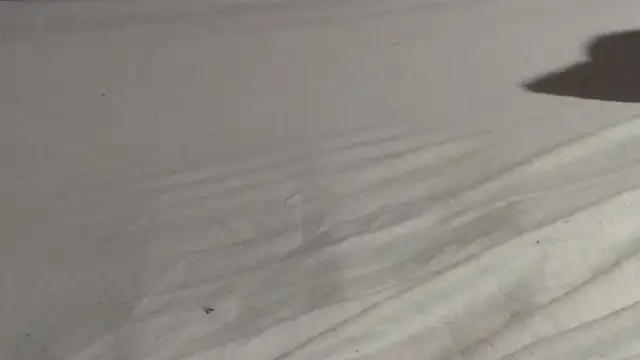 Vandrino online show from March 15, 2025, 3:07 am