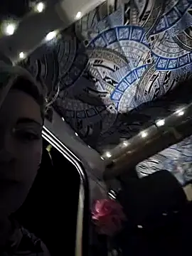 Snapshot of PinkTheHawk chatting on January 12, 2025, 9:51 am PinkTheHawk online show from January 12, 2025, 9:51 am