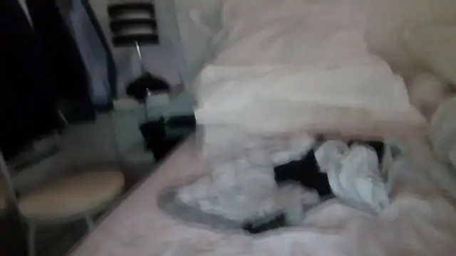 vergatugablogspot online show from February 12, 2026, 10:37 am