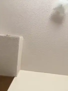 Snapshot of cumgitsumdic chatting on February 3, 2025, 7:10 pm cumgitsumdic online show from February 3, 2025, 7:10 pm