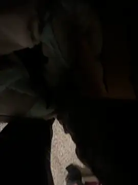 Snapshot of cumgitsumdic chatting on December 14, 2025, 12:06 am cumgitsumdic online show from December 14, 2025, 12:06 am