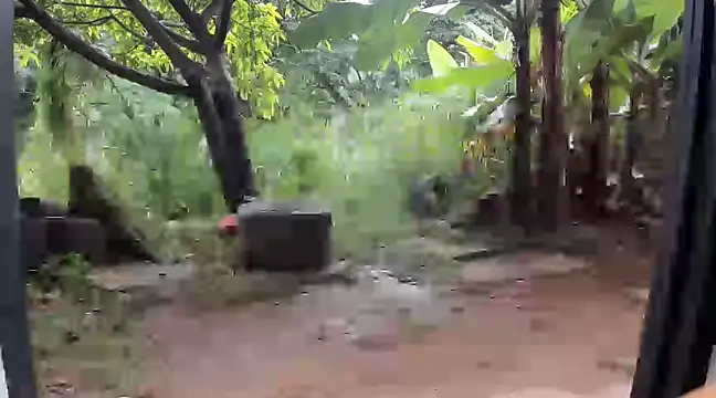 venusandzeusxh online show from December 14, 2024, 1:59 pm