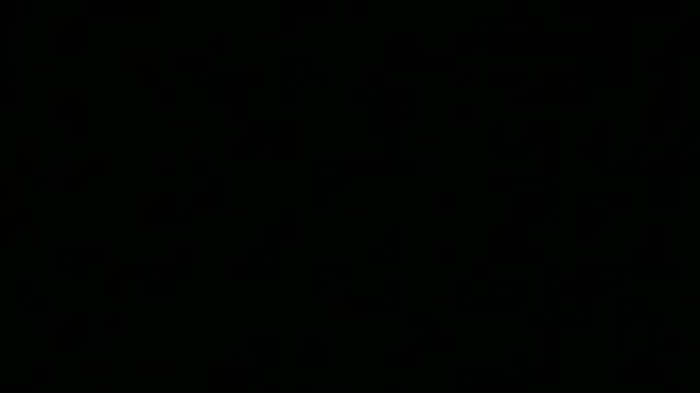 Snapshot of iAmNukka187 chatting on January 15, 2026, 5:11 am iAmNukka187 online show from January 15, 2026, 5:11 am