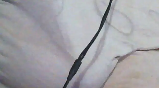 Snapshot of giga-bite chatting on March 20, 2025, 7:57 pm giga-bite online show from March 20, 2025, 7:57 pm