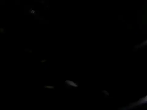 Snapshot of giga-bite chatting on October 10, 2025, 3:46 pm giga-bite online show from October 10, 2025, 3:46 pm