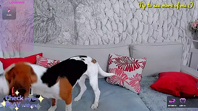  MarryGirl  online show from January 10, 2025, 5:15 am