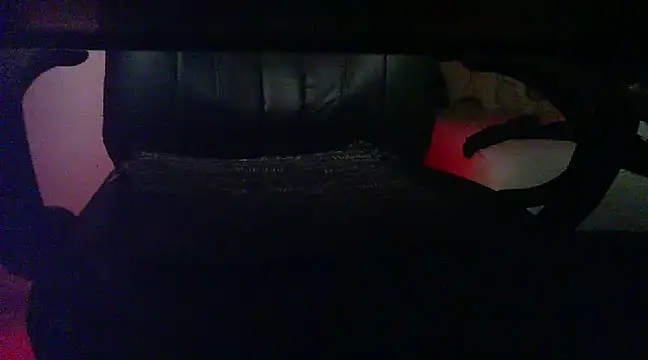 Snapshot of pasiuni chatting on December 30, 2024, 5:55 pm pasiuni online show from December 30, 2024, 5:55 pm