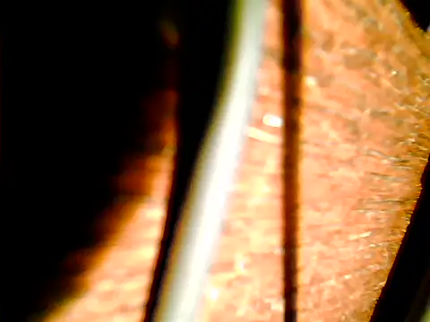 Snapshot of johnjohn622662 chatting on November 12, 2025, 4:22 pm johnjohn622662 online show from November 12, 2025, 4:22 pm