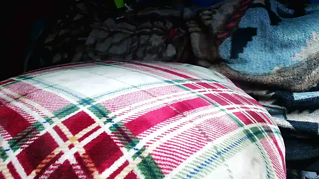 Snapshot of bobbybullit chatting on March 3, 2026, 4:19 am bobbybullit online show from March 3, 2026, 4:19 am