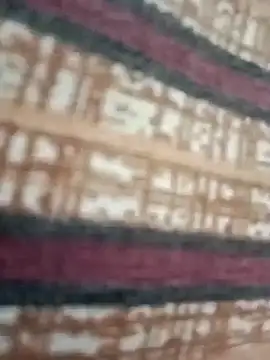 winterison online show from September 21, 2025, 3:44 am