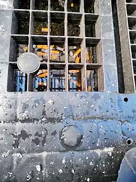 Ethangay online show from March 31, 2026, 6:48 am