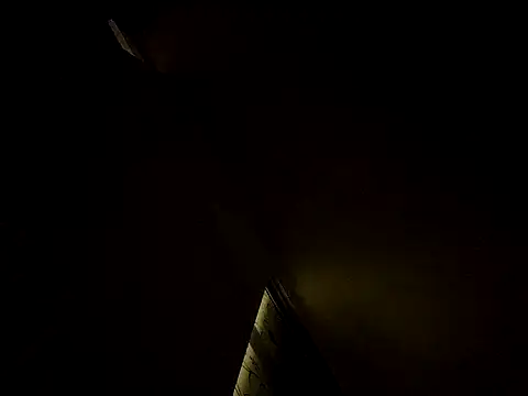 tropikboy online show from March 10, 2025, 12:28 am