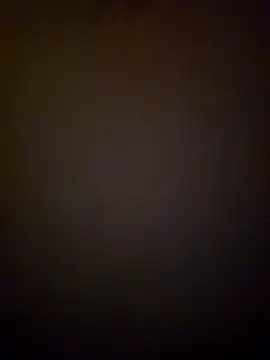 tropikboy online show from March 19, 2025, 9:49 am