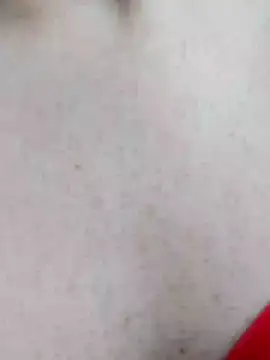 Snapshot of mister-dwt chatting on December 19, 2024, 12:45 pm mister-dwt online show from December 19, 2024, 12:45 pm